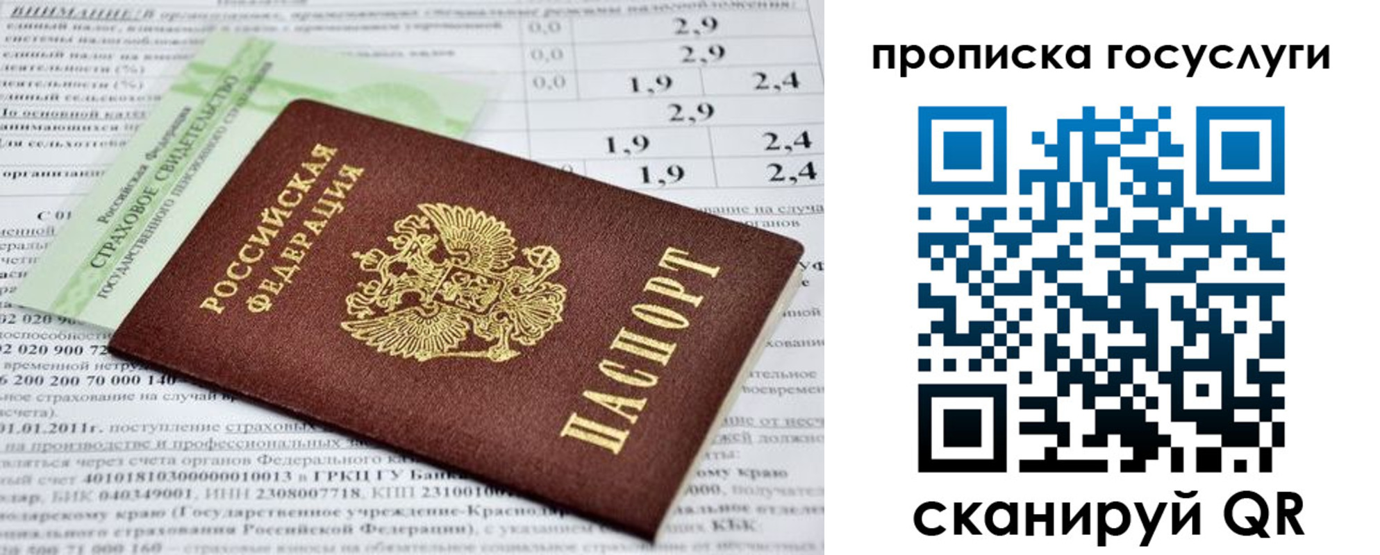прописка паспорт в Электрогорске
